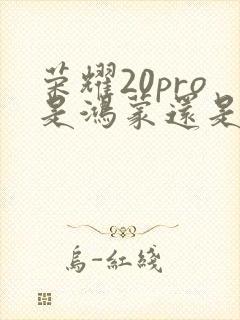 荣耀20pro是鸿蒙还是安卓
