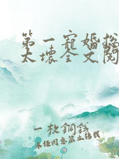 第一宠婚总裁别太坏全文阅读