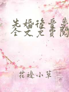 先婚后爱梦筱二全文免费阅读