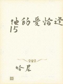 他的爱恰逢其时15