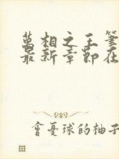 万相之王笔趣阁最新章节在线阅读
