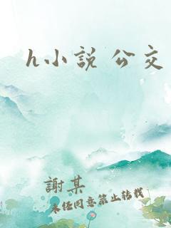 h小说 公交车