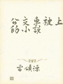 公交车被上高潮的小说