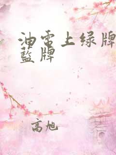 油电上绿牌还是蓝牌