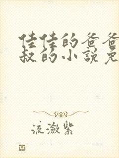 佳佳的爸爸王叔叔的小说免费阅读下