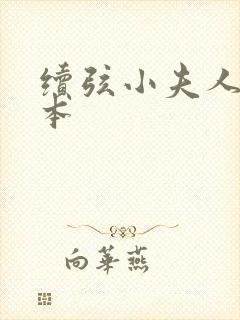 续弦小夫人 全本