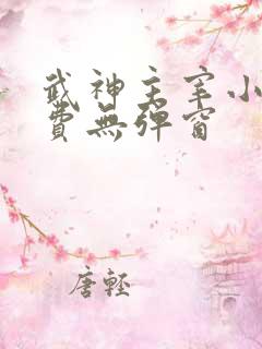 武神主宰小说免费无弹窗