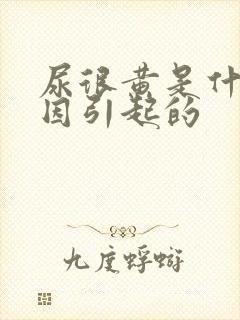 尿很黄是什么原因引起的