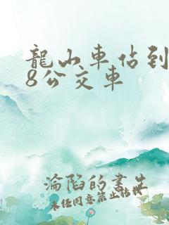 龙山车站到808公交车