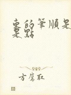 东的笔顺是撇还是点