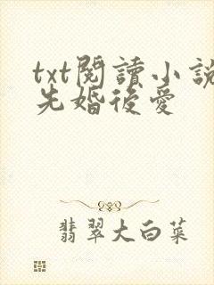 txt阅读小说先婚后爱