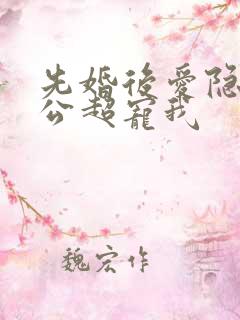 先婚后爱隐婚老公超宠我