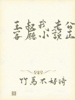 王叔我老公还在客厅小说正版阅读