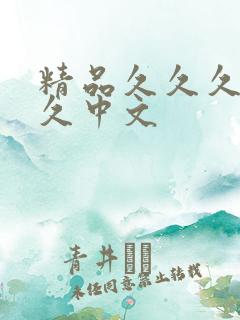 精品久久久久久久中文