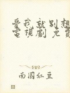 爱我就别想太多电视剧 免费