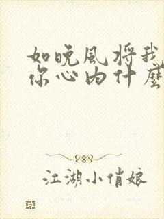 如晚风将我吹进你心内什么歌粤语