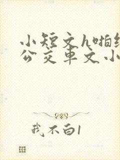 小短文h啪纯肉公交车文小说