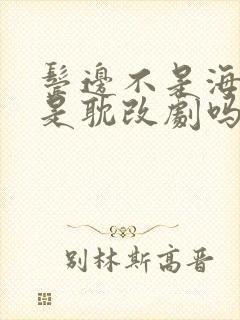 鬓边不是海棠红是耽改剧吗