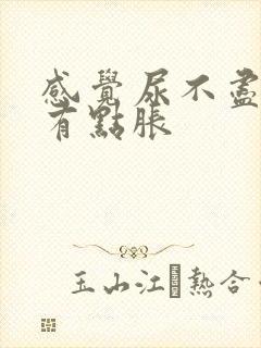 感觉尿不尽小腹有点胀