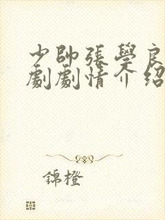 少帅张学良电视剧剧情介绍