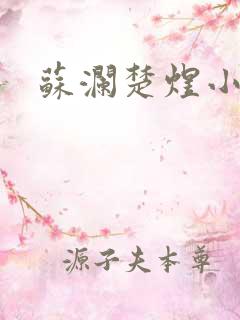 苏澜楚煜小说