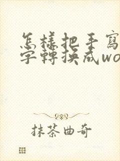 怎样把手写的文字转换成word文档