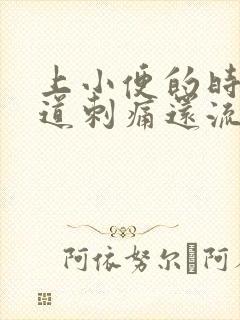 上小便的时候尿道刺痛还流血是怎么回事