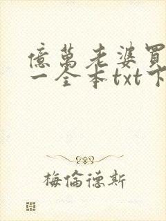 亿万老婆买一送一全本txt下载