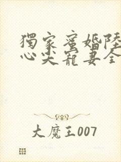 独家蜜婚陆少的心尖宠妻全文阅读