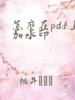 怎么在pdf上加水印