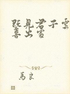 既见君子云胡不喜出处