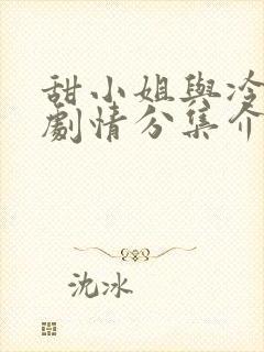 甜小姐与冷先生剧情分集介绍