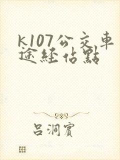 k107公交车途经站点