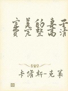 完美的妻子4免费完整高清电视剧在线看