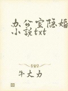 办公室隐婚轻黯小说txt