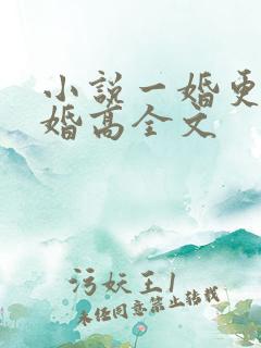 小说一婚更比一婚高全文