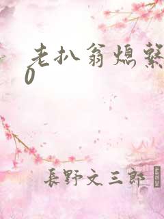 老扒翁熄系列40