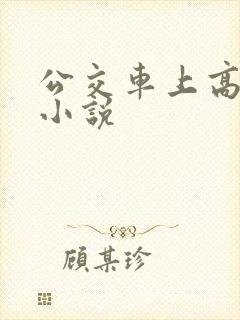 公交车上高潮的小说