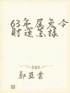63年属兔今日财运怎样