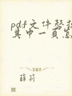 pdf文件替换其中一页怎么弄