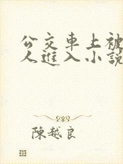 公交车上被陌生人进入小说