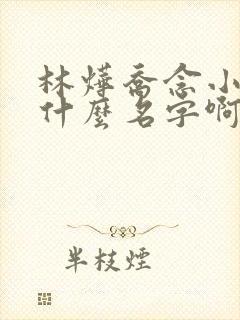 林烨乔念小说叫什么名字啊