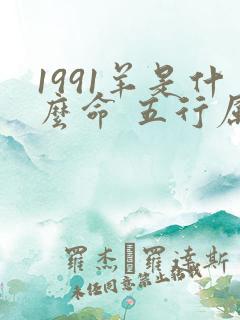 1991羊是什么命 五行属什么