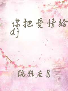你把爱情给了谁dj