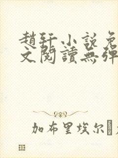赵轩小说免费全文阅读无弹窗