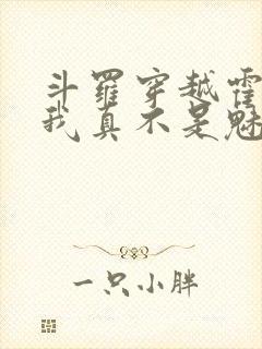 斗罗穿越霍雨浩我真不是魅魔免费
