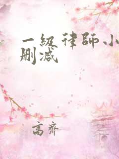 一级律师小说未删减