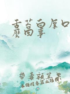 舌苔白厚口苦怎么回事