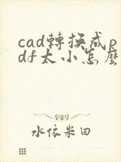 cad转换成pdf太小怎么调整