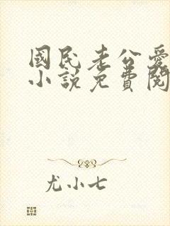国民老公爱上我小说免费阅读